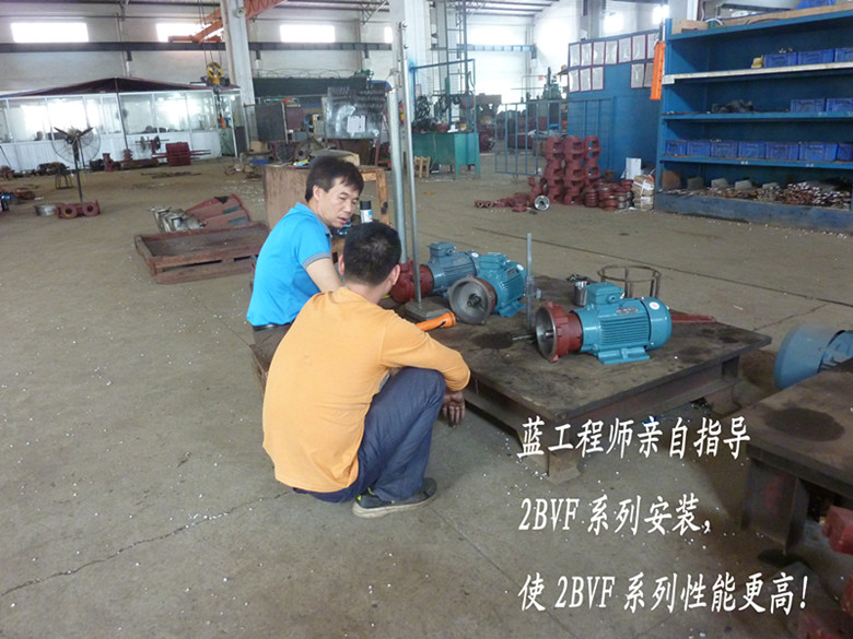 佛真工程師親自指導(dǎo)2BVF水環(huán)式真空泵的安裝，嚴(yán)格的安裝要求對(duì)水環(huán)式真空泵性能提高有著重要的作用