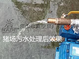 養(yǎng)豬場(chǎng)污水處理 養(yǎng)豬場(chǎng)污水處理