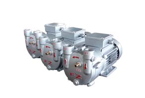 ZKB系列水環(huán)式真空泵 ZKB系列水環(huán)式真空泵